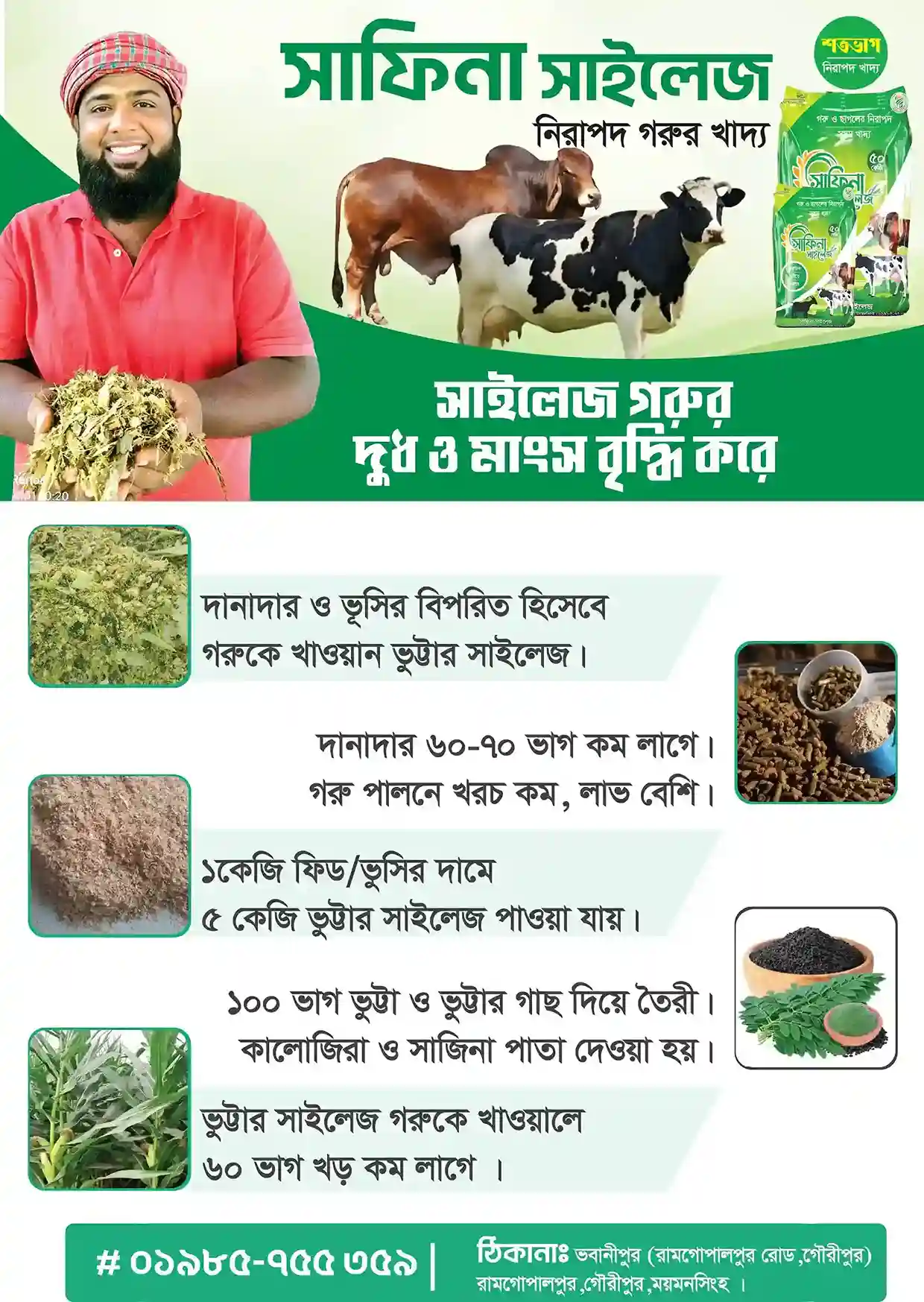 গাভী গরুর সঠিক খাদ্য ব্যবস্থাপনা চার্ট